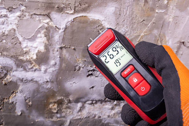 Mold Removal and Inspection in Janesville, IA