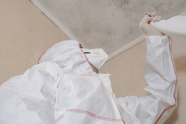 Best Mold Removal Company Near Me  in Janesville, IA